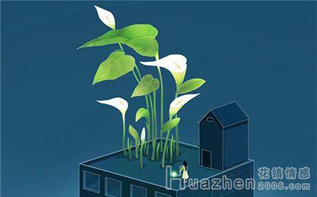 优美的爱情句子！句句触动你的心弦