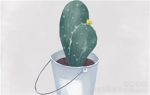 婚姻案例：如何改善老公和我原生家庭之间的关系