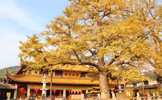 挽回老公的三个必备技巧，介绍挽回感情方式