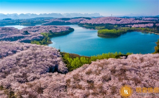 两地分居老公出轨有哪些表现,这五个表现不能忽视