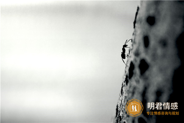 分手了怎么挽回男朋友?挽回男友实用的方法! 分手了怎么挽回男朋友?挽回男友实用的方法!