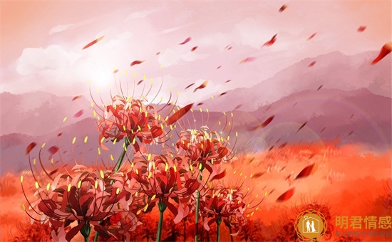送玫瑰花代表什么意思,这些含义你真的清楚吗 送玫瑰花代表什么意思,这些含义你真的清楚吗