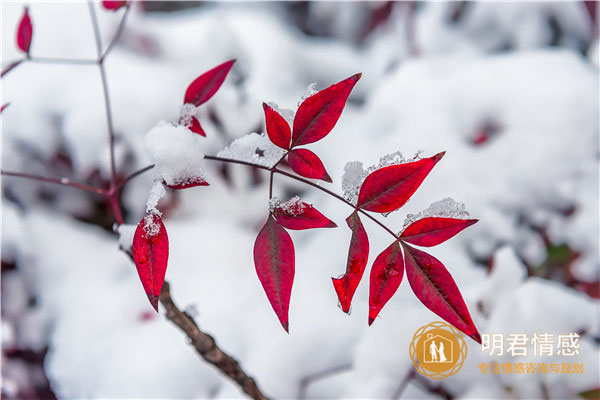 教师节祝福语简短一句话,教师节祝福语简短优美