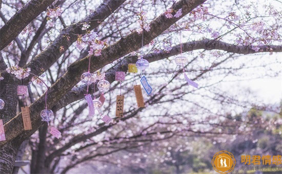 教师节语录简短祝福语,2022教师节寄语简短