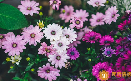 教师节手工礼物贺卡祝福语,教师节贺卡寄语大全