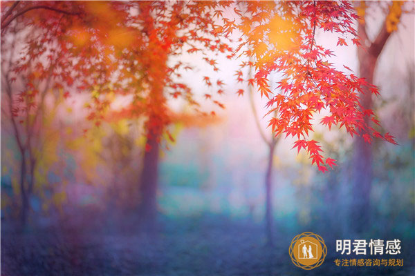 教师节朋友圈说说,教师节文案朋友圈