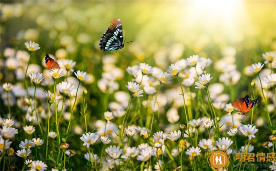 教师节感谢老师的话,学生寄语感谢老师的话