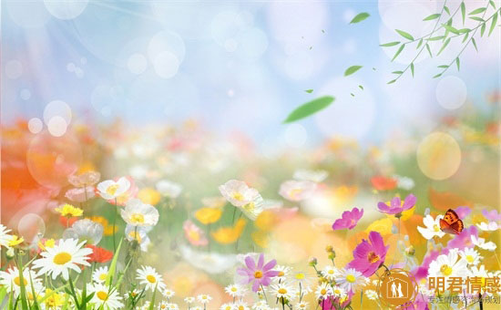 给女朋友的生日礼物,生日礼物给女生送什么好 给女朋友的生日礼物,生日礼物给女生送什么好
