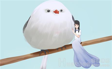 从爱情套路判断女生的情史