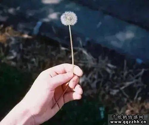一个人伤心的文案