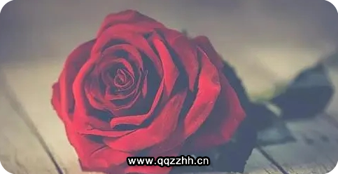 婚姻不可怕，可怕的是明明结了婚可事事还得自己单独承担