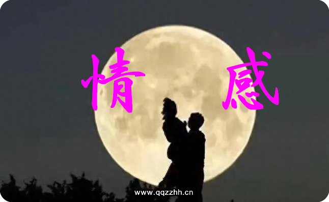 情感文案，感情和生活，不可辜负