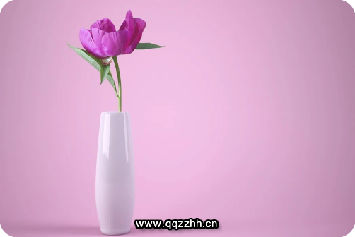 人间清醒的文案