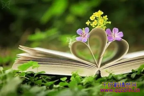 感悟人生的唯美散文